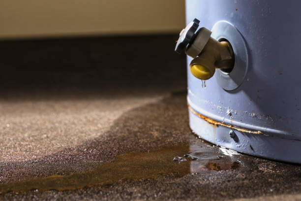 Water damage restoration experts in KY