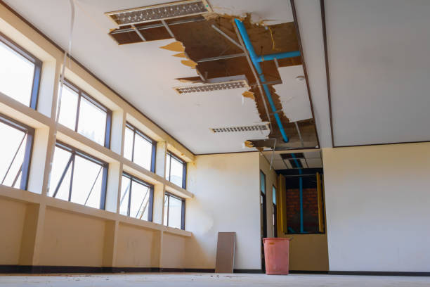 Best Water damage restoration near me  in Villa Hills, KY
