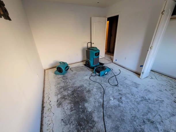 Best Emergency water extraction  in Villa Hills, KY