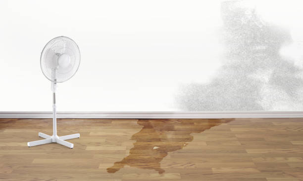 Best Water damage restoration mold remediation  in Villa Hills, KY