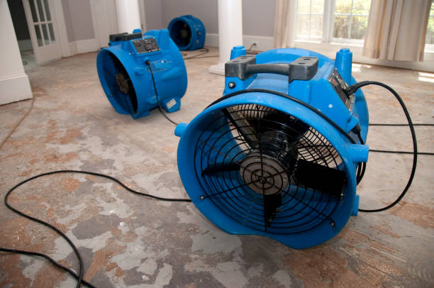 Best Basement water damage restoration  in Villa Hills, KY
