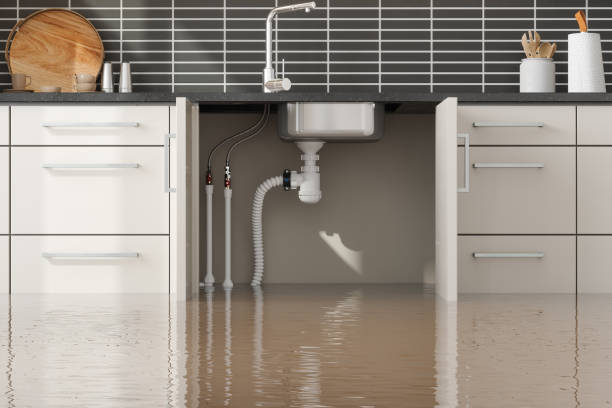 Best Professional water damage repair  in Villa Hills, KY