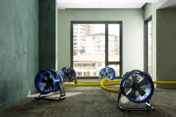 Best Mold removal after water damage  in Villa Hills, KY